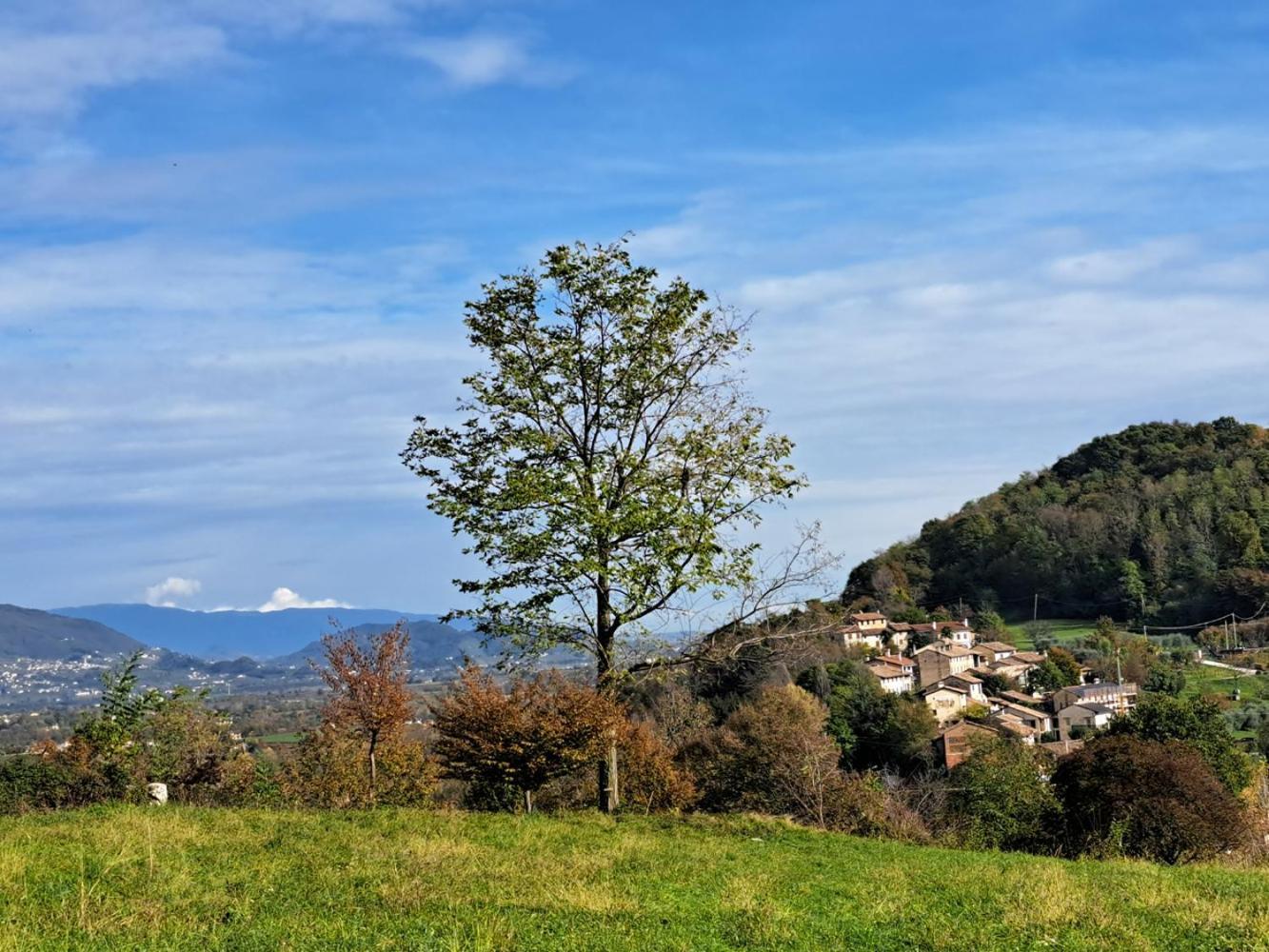 Agriturismo Riva Beata Cavaso Del Tomba Eksteriør bilde