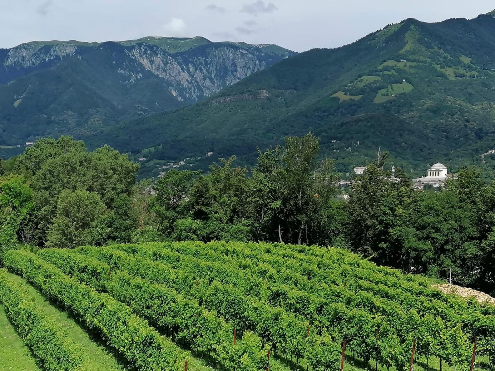 Agriturismo Riva Beata Cavaso Del Tomba Eksteriør bilde